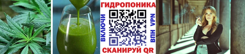 Cannafood конопля  KRAKEN зеркало  Новороссийск 