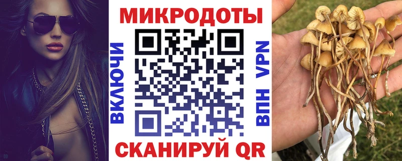 Галлюциногенные грибы мухоморы  Новороссийск 