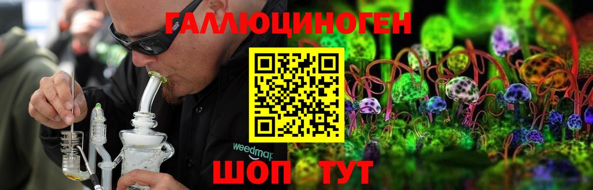Псилоцибиновые грибы прущие грибы Новороссийск