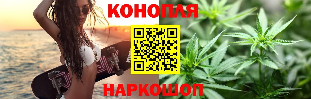 МАРИХУАНА конопля Новороссийск